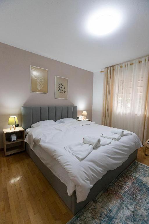 Light-2 Lovely Apartment In Tirana Esterno foto